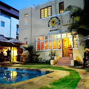 A Sunflower Stop Backpackers Kapstadt